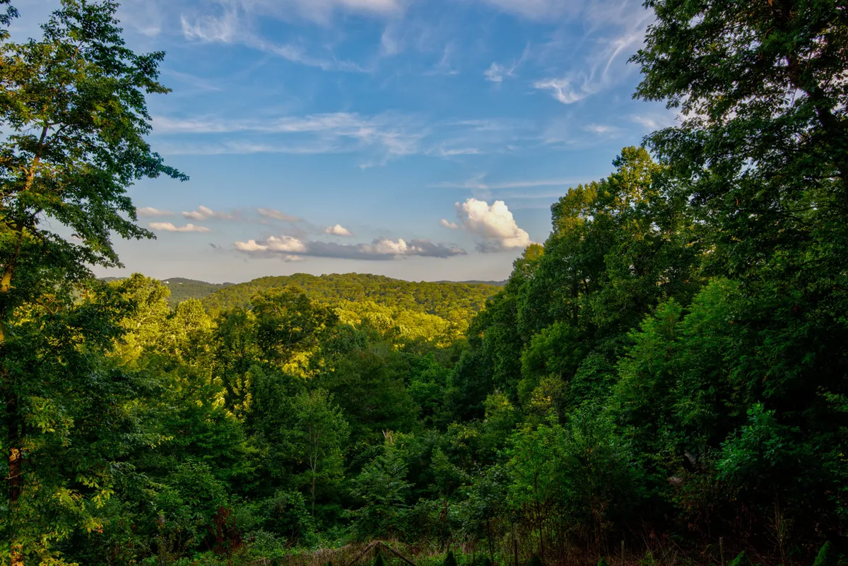 A sweeping view of lush, green trees and rolling hills beneath a broad sky with scattered clouds. The vantage point suggests being out on a hike or scenic drive, surrounded by untouched nature.