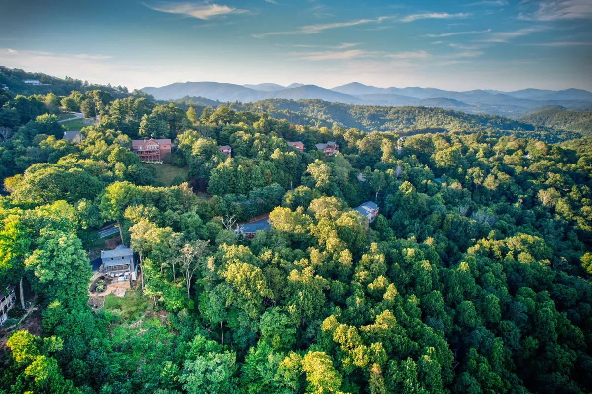 A scenic panorama of lush green trees and distant mountains, with scattered homes nestling into the landscape. The image suggests a wealth of nearby trails and outdoor spaces for exploration, emphasizing the property's connection to nature and the outdoors.